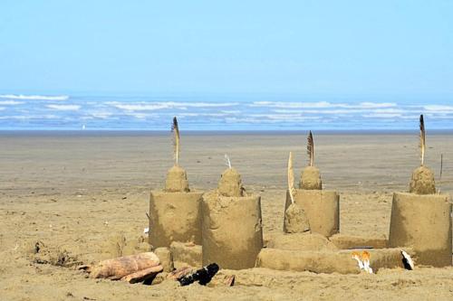 Beachfront Cabin