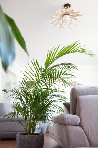 สิ่งอำนวยความสะดวก, Villa Terra in ปอนตา เดลกาดา