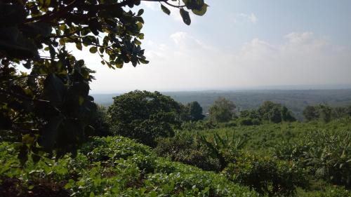 urban donkey 11 arkadioupoleos thessaloniki greece gr 54632 kawaguchiko cottage minami kawaguchi 29