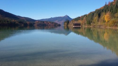 Landhotel Lärchenhügel - image 11