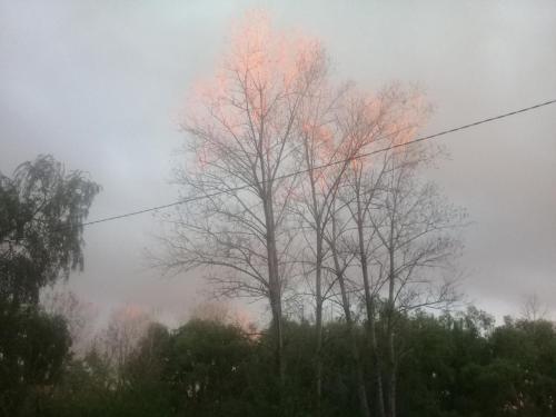 Cabanas Aqui y Ahora