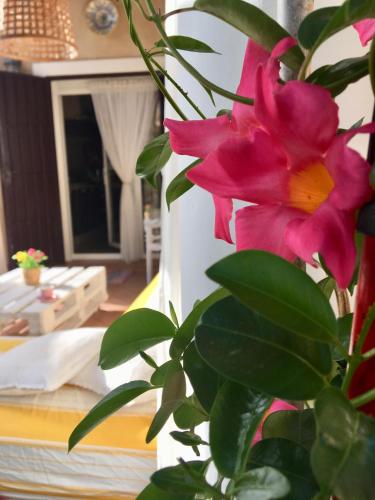 Villa Miranda Villa Miranda