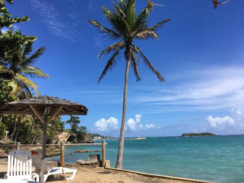 Beach, Residence de la Vieille Tour in Gosier
