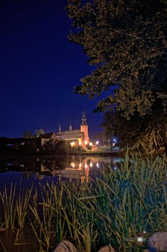 Hotel & SPA Pod Orłem - image 6