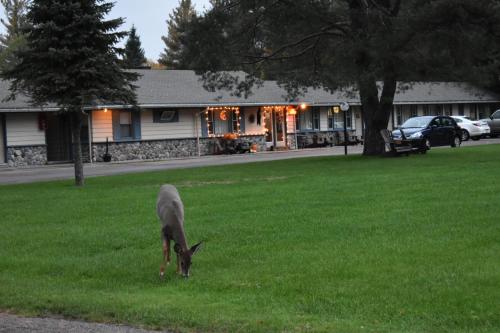 Country Club Motel - image 2