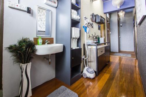 USM Designer Dwell – George Town, NY