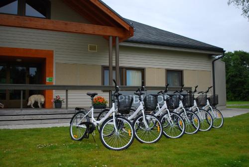 Piibutopsu Holiday House - image 13