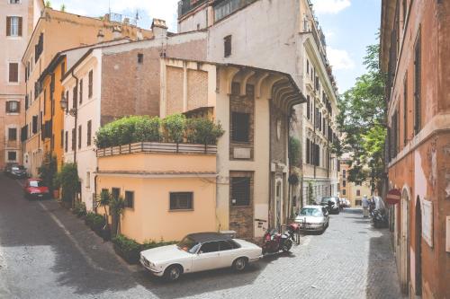 Monti First - image 7