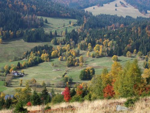 "Kuckucksnest" Hallenbad Freibecken Massagen nebenan