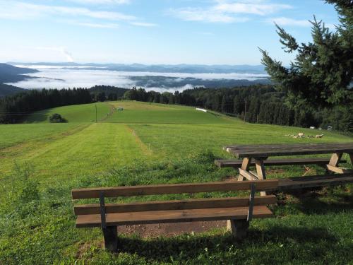 "Kuckucksnest" Hallenbad Freibecken Massagen nebenan