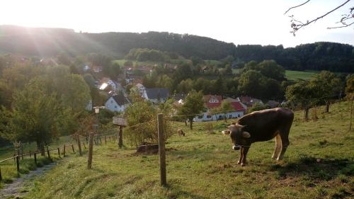 Gemütliche Wohnung in Wolfegg - Das Tor zum Allgäu