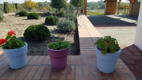  Tokaj vidéki szállás 2 in Bodrogkisfalud