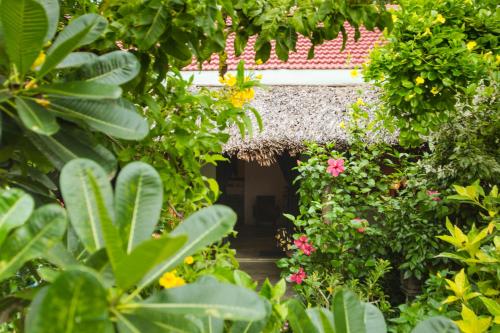 An Bang Purple Homestay, Hội An