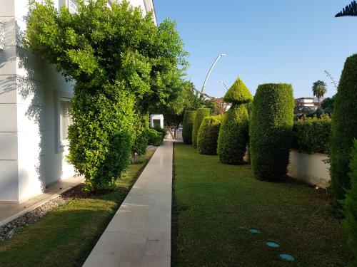 Atalos residence flat with 3 bedroom - image 5