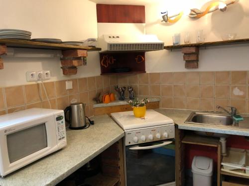 廚房, Apartmán Pavla (Apartman Pavla) in 奧斯特魯茲納