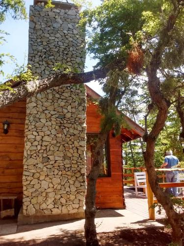 Pendientes de Moquehue in 라고 모케우에