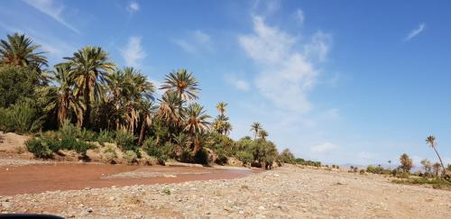 Gite Kasbah La Palmeraie Gite Kasbah La Palmeraie