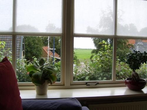 DaldeSkoalle - main image