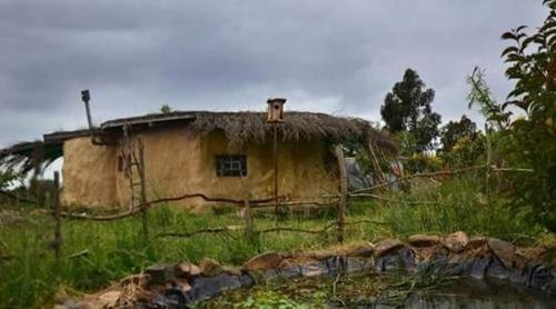 Hobbit House photo