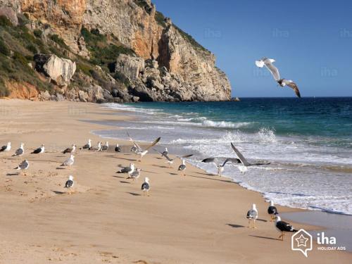 Casa do Mastro Sesimbra