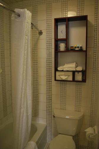 Washington Square Hotel - image 5