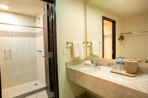 Hotel Plaza Calzada - image 4