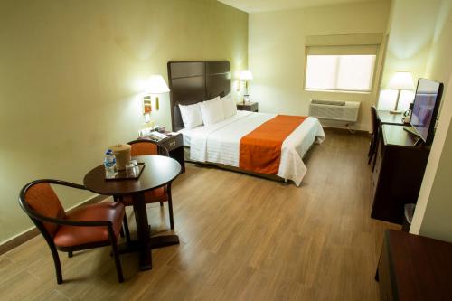 Hotel Plaza Calzada - image 3