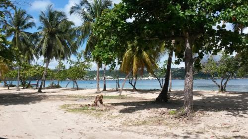 plage, T2 KAY ZANNDOLI in La Trinité