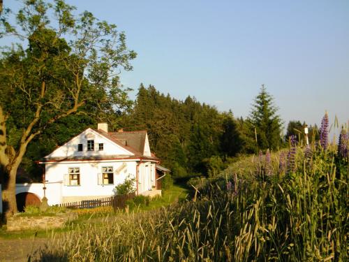 Rainmühle