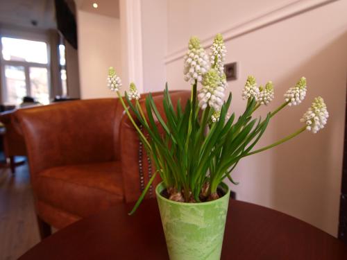 Clemens Hotel