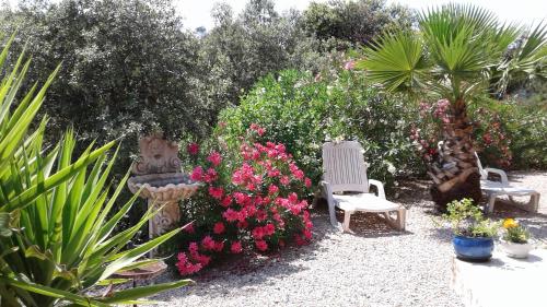 la foret pour décor chambre d'hôte Pontevès