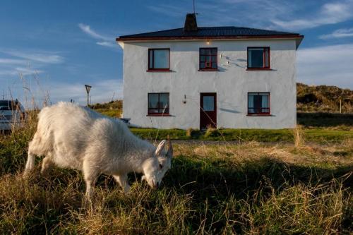 Guesthouse Holmur in Hornafjordur
