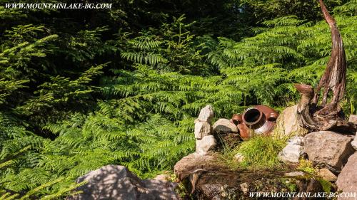 RELAX aпартаменти, Смолянски езера, вила ВЕНЕРА, к-с Маунтин Лейк, Smolyan (foto 7)