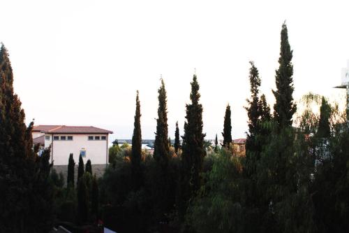 Olosuites - image 5