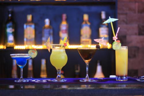 イビス シティ ホステル