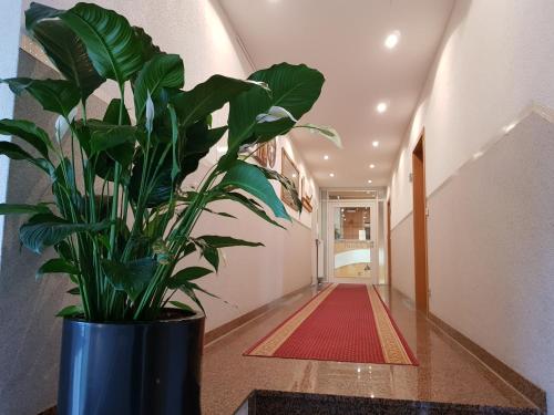 Hotel Habana - image 2