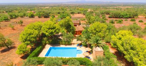 Can Crestall, Campos (foto 2)