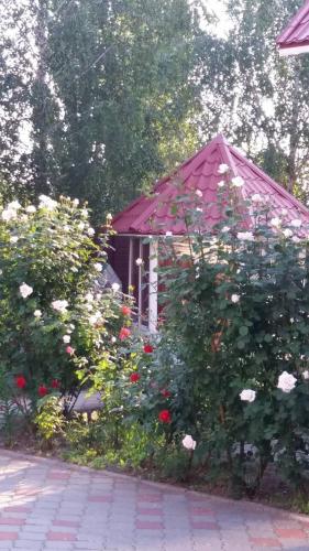 Hotel Tropicana in Svitlovodsk