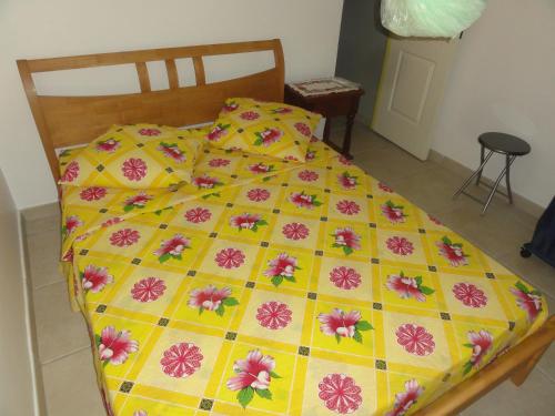 HIBISCUS in Riviere-Pilote