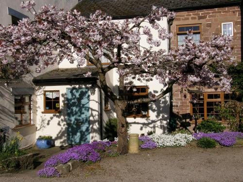 Lea House Bed and Breakfast - image 8
