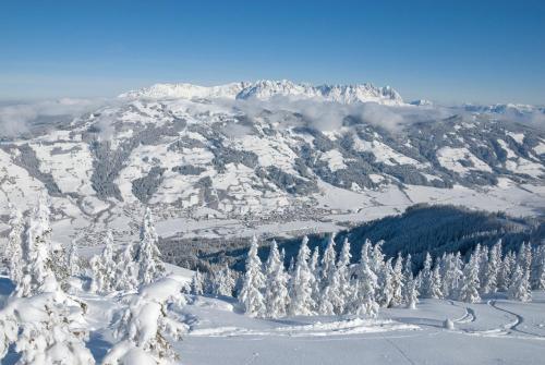 Kraftquelle Schlossblick