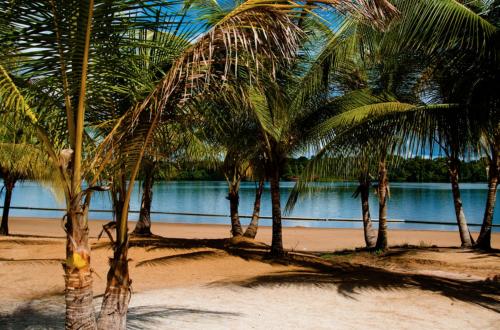 Foto - Overbridge River Resort