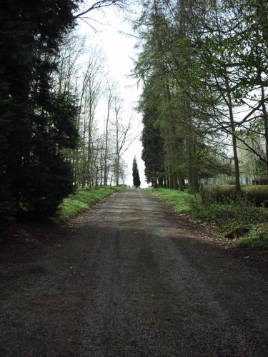 Château de la Motte - image 2