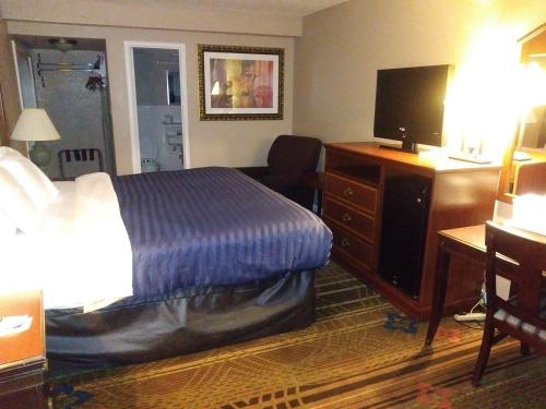 Days Inn by Wyndham Hot Springs - image 6