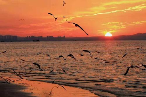 ヤンタイ ゴールデン ガルフ ホテル