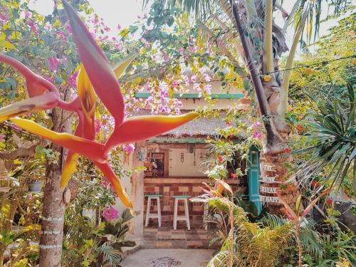 Havana Hideaway – Gili Trawangan, ID