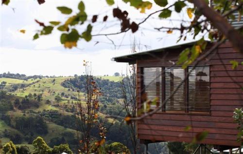 Rosebrook Cottages, Maleny (fotografie 10)