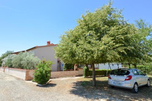  Apartment Mit- Mir in Fondole