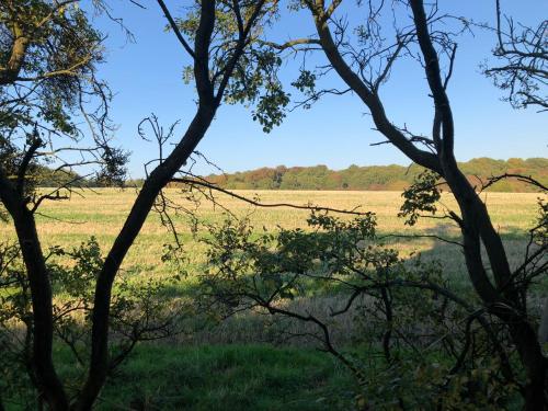 Old Hunters Lodge Whipsnade Limited 5