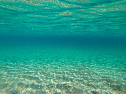  Τo Κamari in Skyros